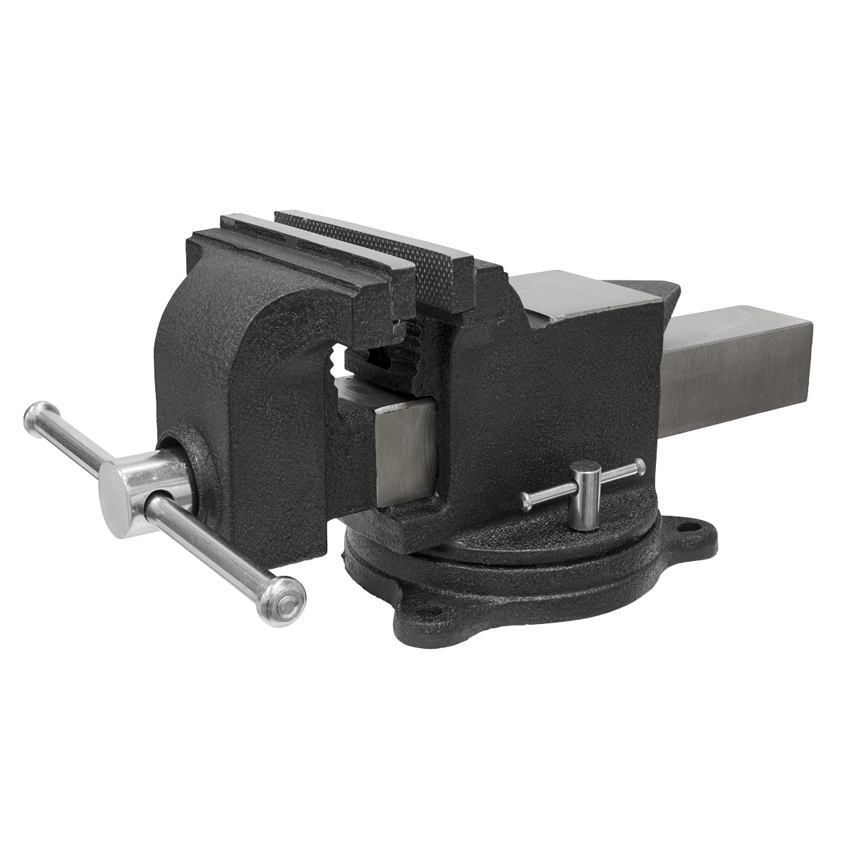 SG Iron Industrial Vice with Swivel Base 200mm