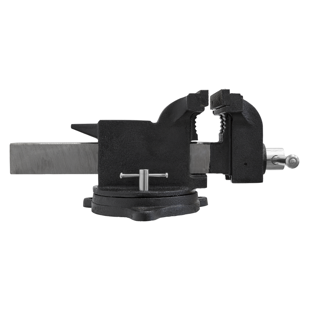 SG Iron Industrial Vice with Swivel Base 200mm