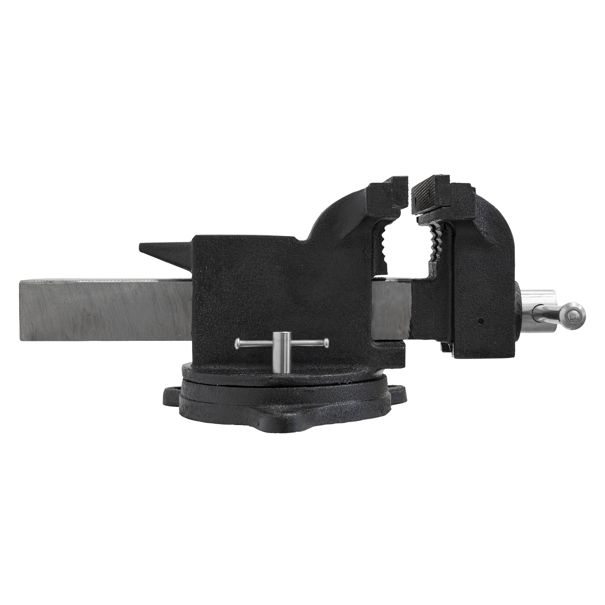 SG Iron Industrial Vice with Swivel Base 200mm