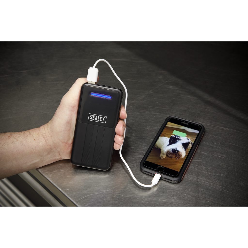 Portable Power Bank, 10W 20,000mAh (SPB102)