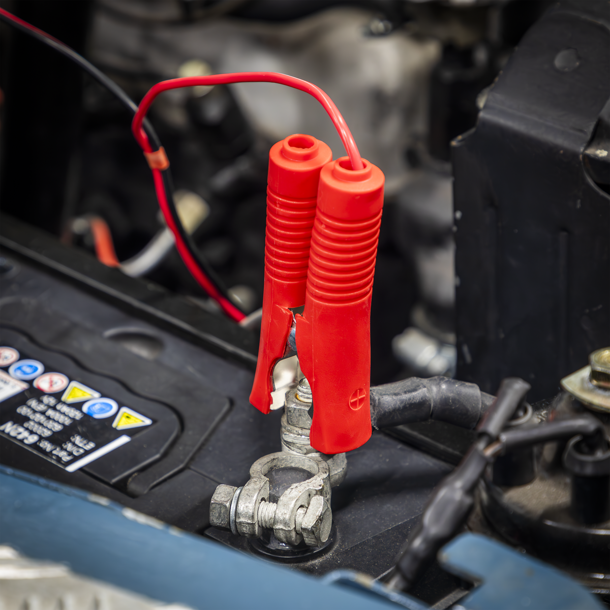 Premier Fully Automatic Battery Charger & Maintainer, 12A (SPBC12)