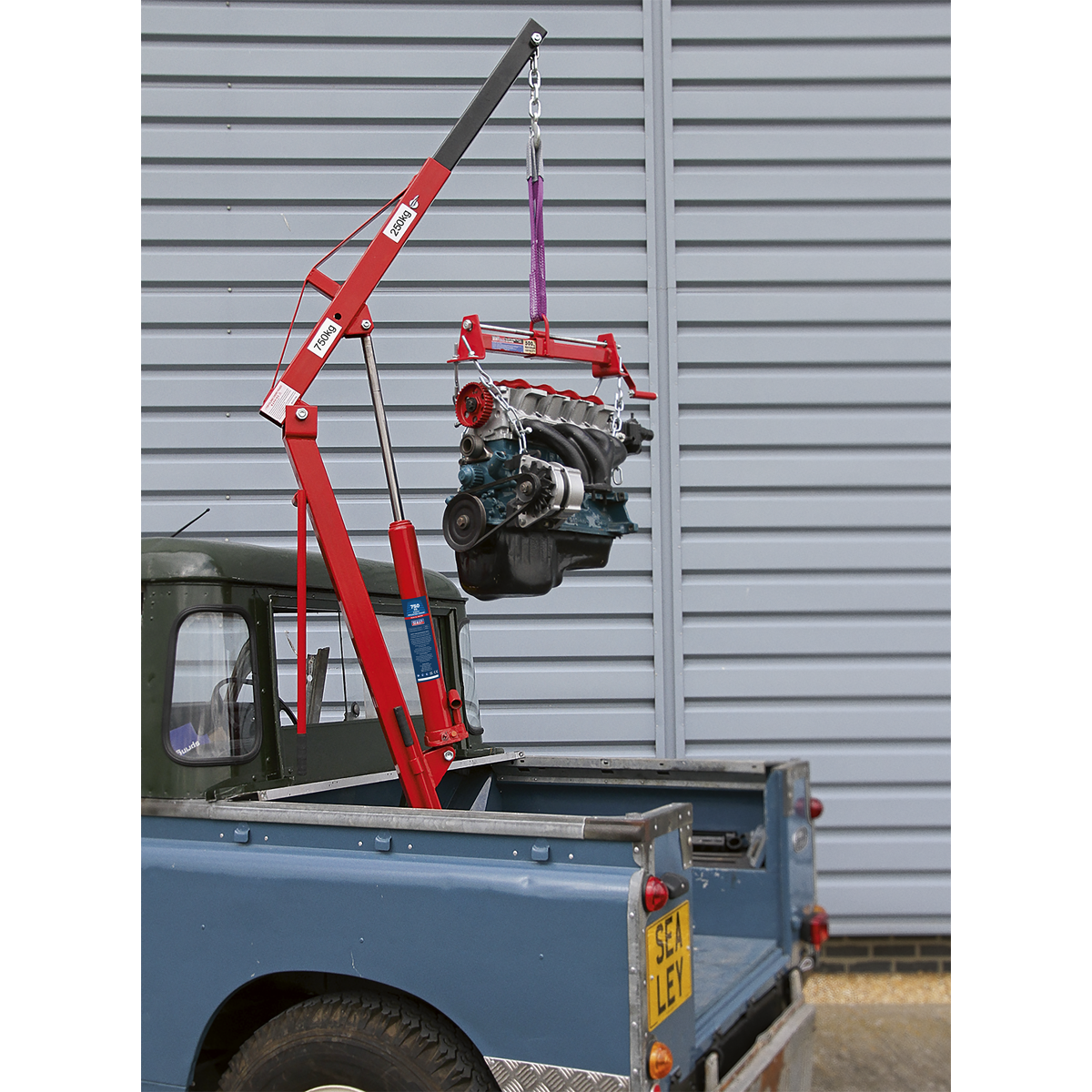 Static Mounted Crane 750kg