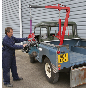 Static Mounted Crane 750kg