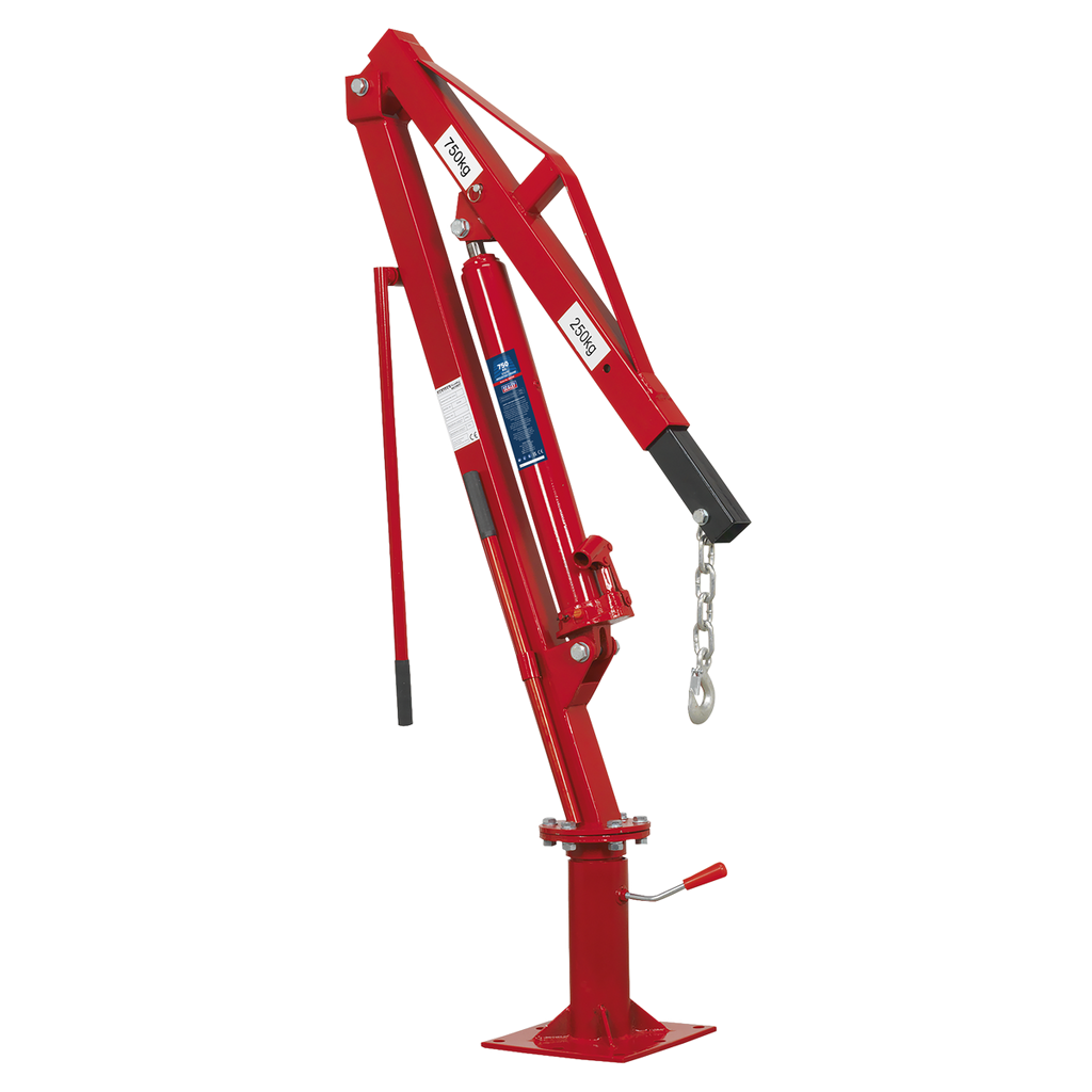 Static Mounted Crane 750kg