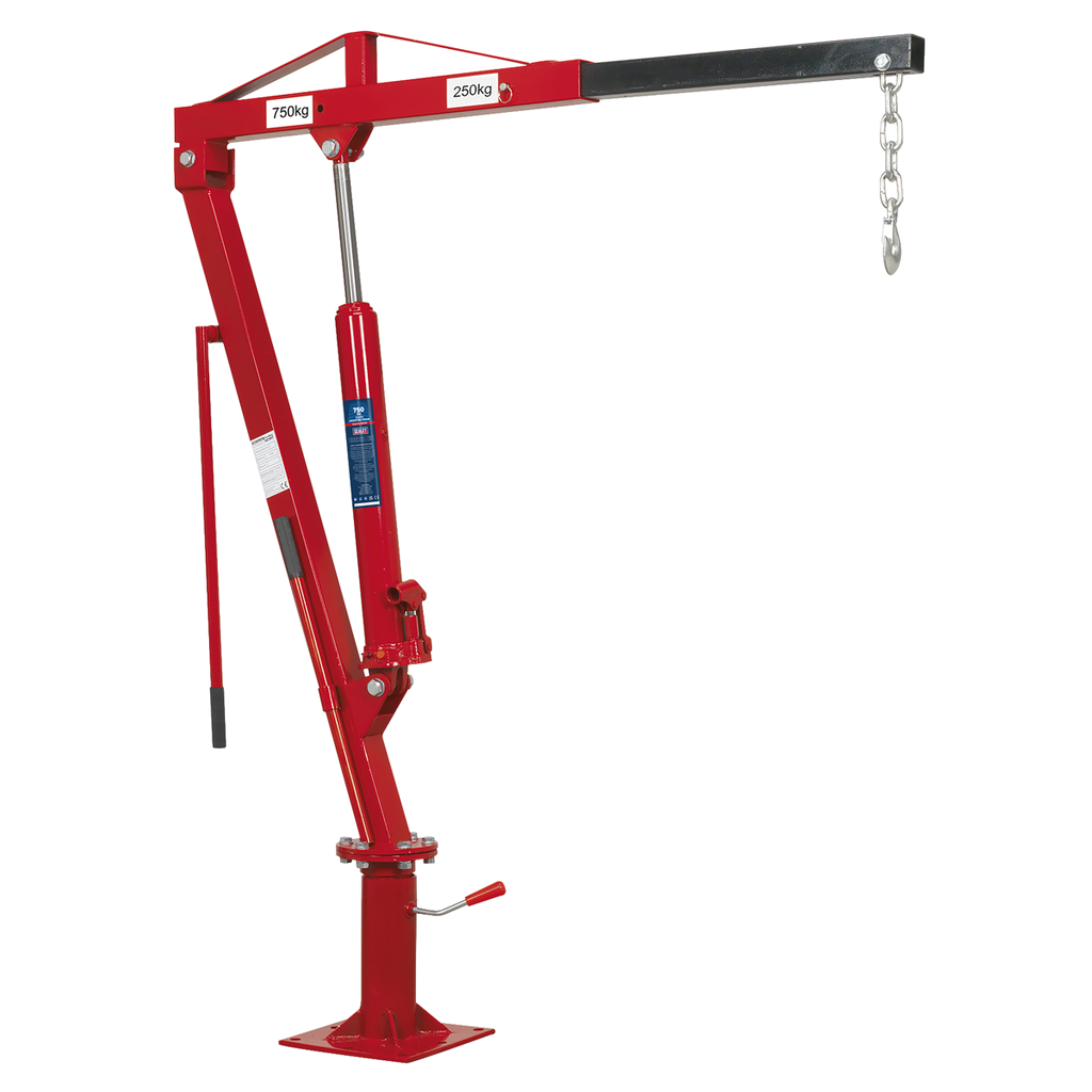 Static Mounted Crane 750kg