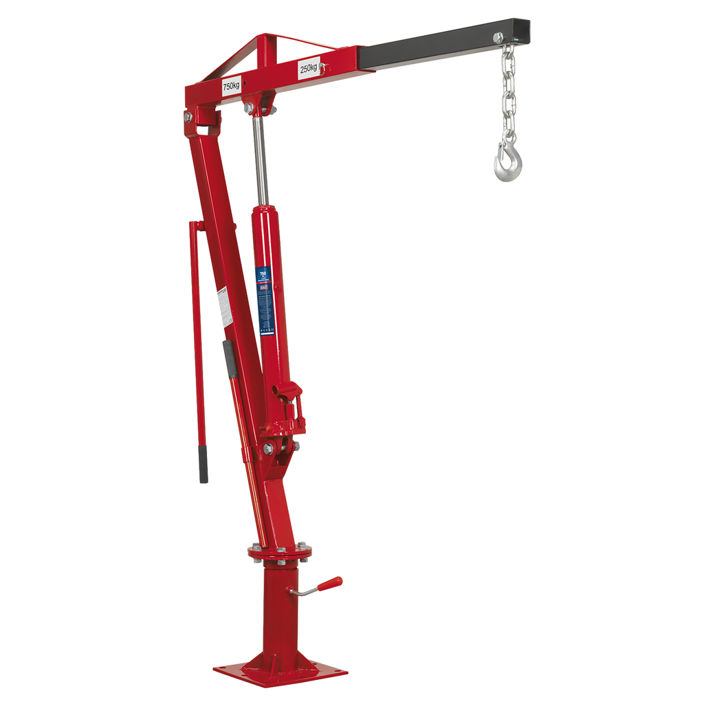 Static Mounted Crane 750kg