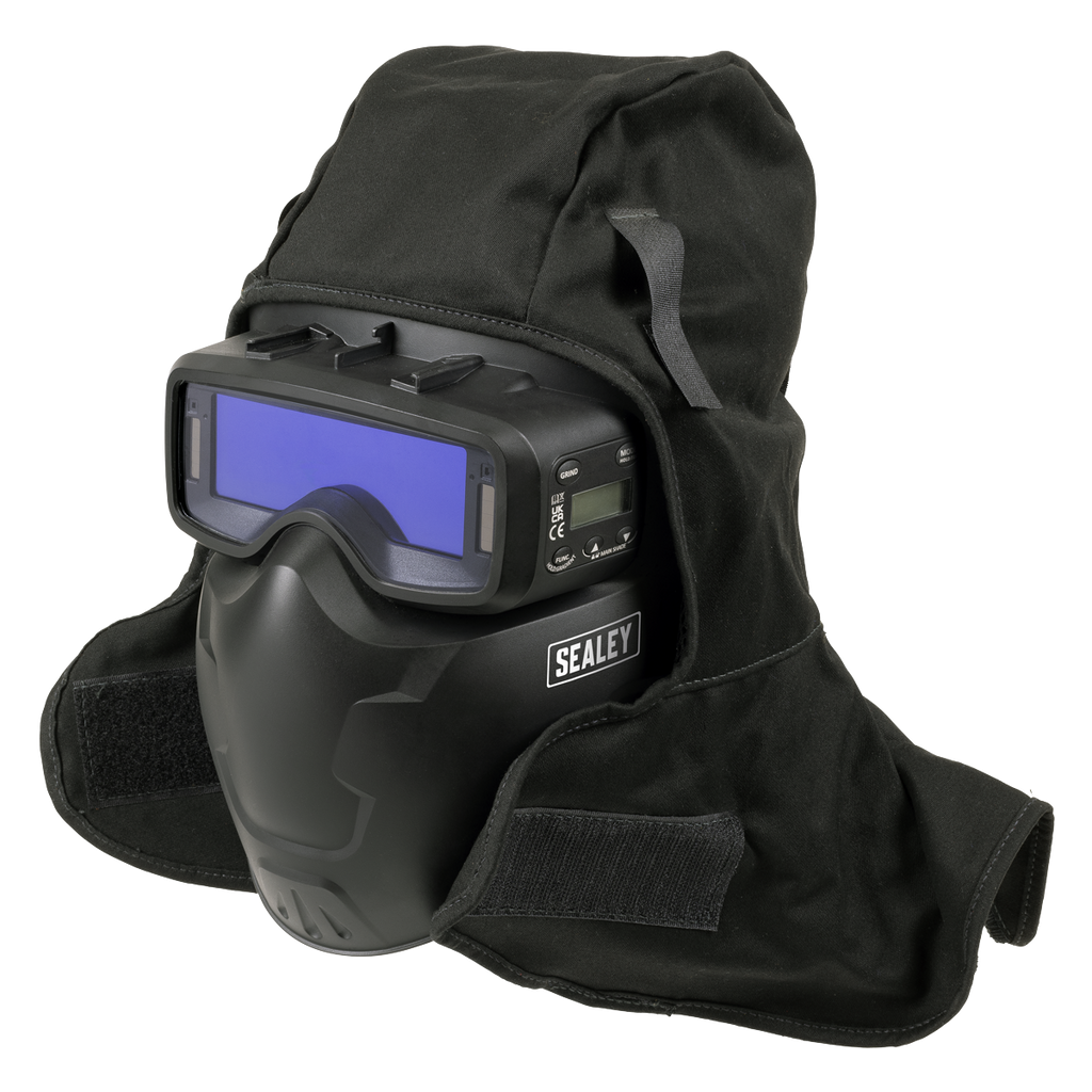 Auto Darkening Welding Goggles, Shade 9-13 (SSP102)