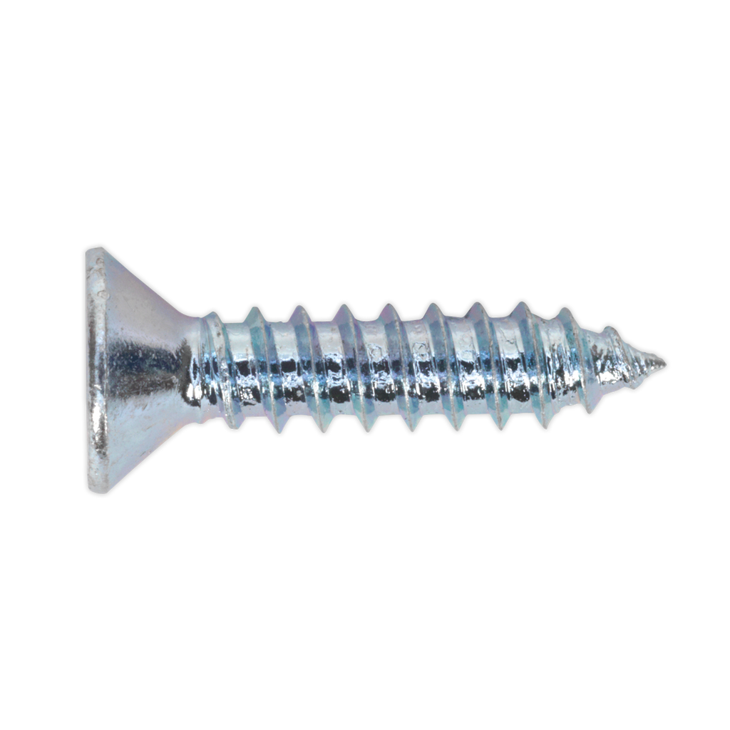 Zinc Plated Self-Tapping Countersunk Pozi Screw Assortment 5