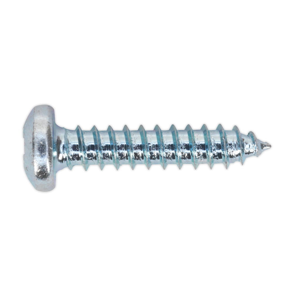 Zinc Plated Self-Tapping Pan Head Pozi Screw Assortment 700p