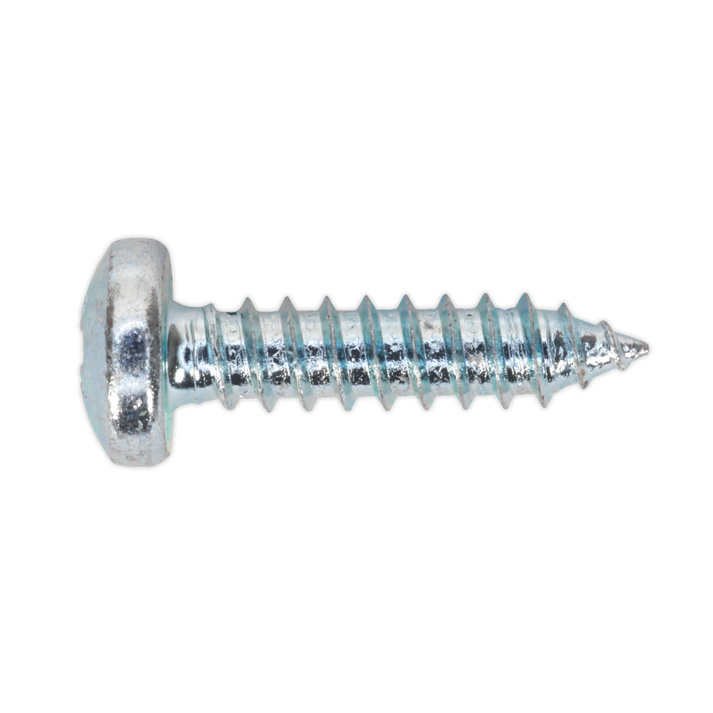 Zinc Plated Self-Tapping Pan Head Pozi Screw Assortment 305p