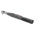 Premier Digital Torque Wrench Digital 3/8"Sq Drive 2-24Nm