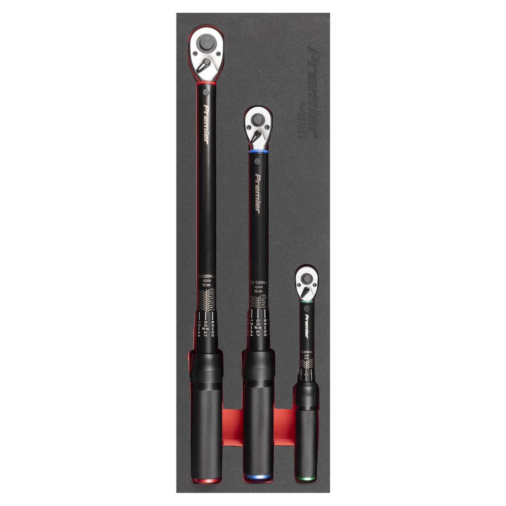 Torque Wrench Micrometer 3pc Set – Premier Black