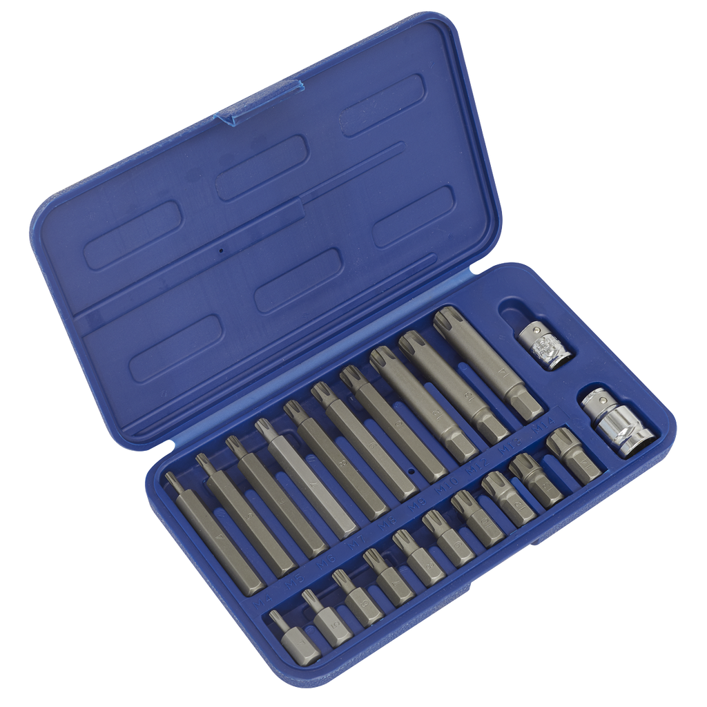 Premier Ribe Bit Set 3/8" & 1/2"Sq Drive 22pc
