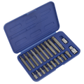 Premier Ribe Bit Set 3/8" & 1/2"Sq Drive 22pc