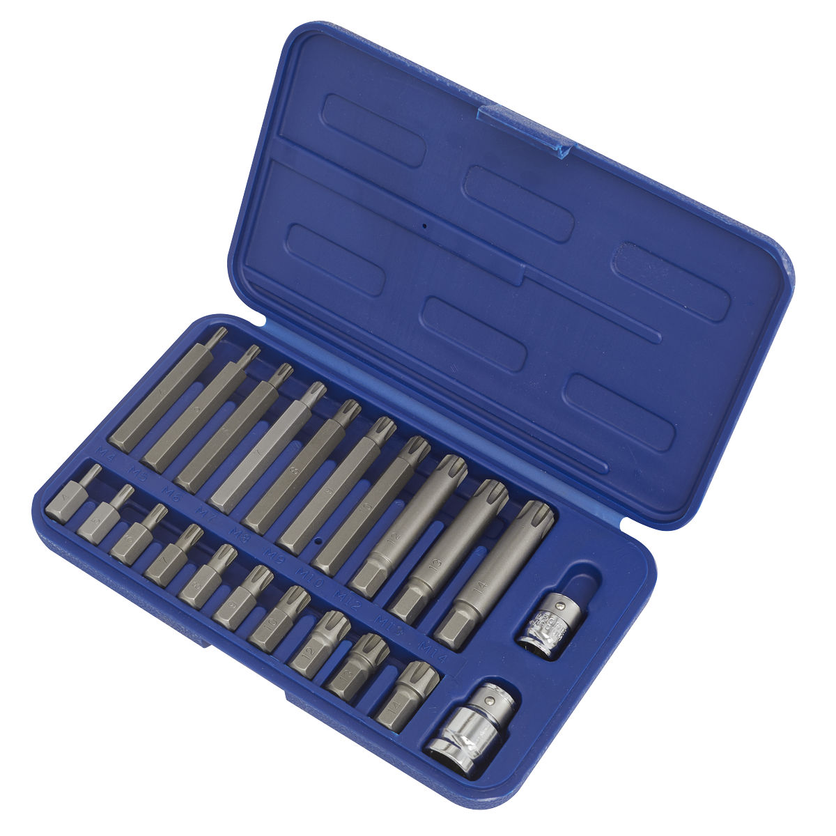 Premier Ribe Bit Set 3/8" & 1/2"Sq Drive 22pc
