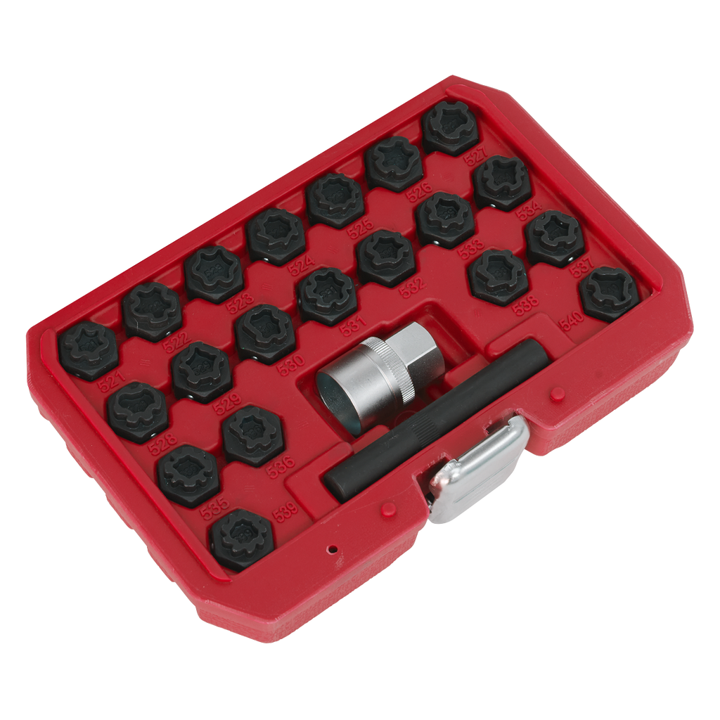 Locking Wheel Nut Key Set for VAG 22pc