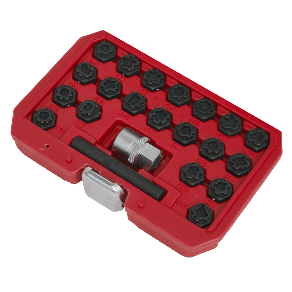 Locking Wheel Nut Key Set for VAG 22pc