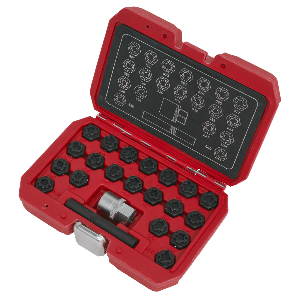 Locking Wheel Nut Key Set for VAG 22pc