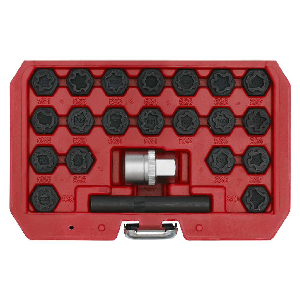 Locking Wheel Nut Key Set for VAG 22pc