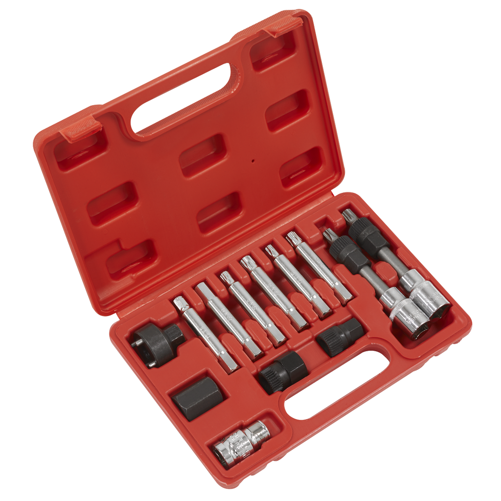 Alternator Freewheel Removal Set 13pc