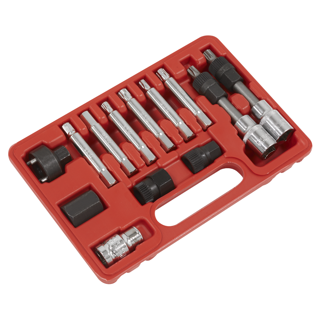 Alternator Freewheel Removal Set 13pc