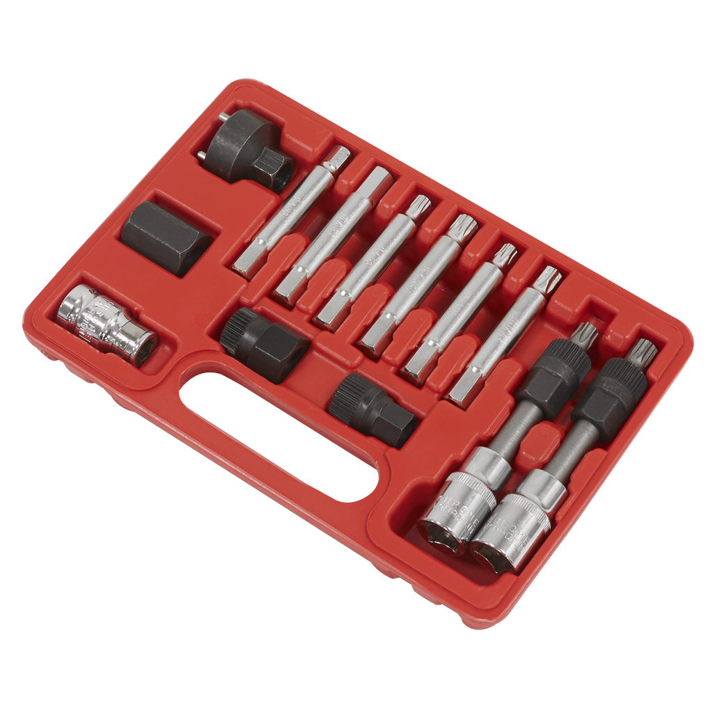 Alternator Freewheel Removal Set 13pc
