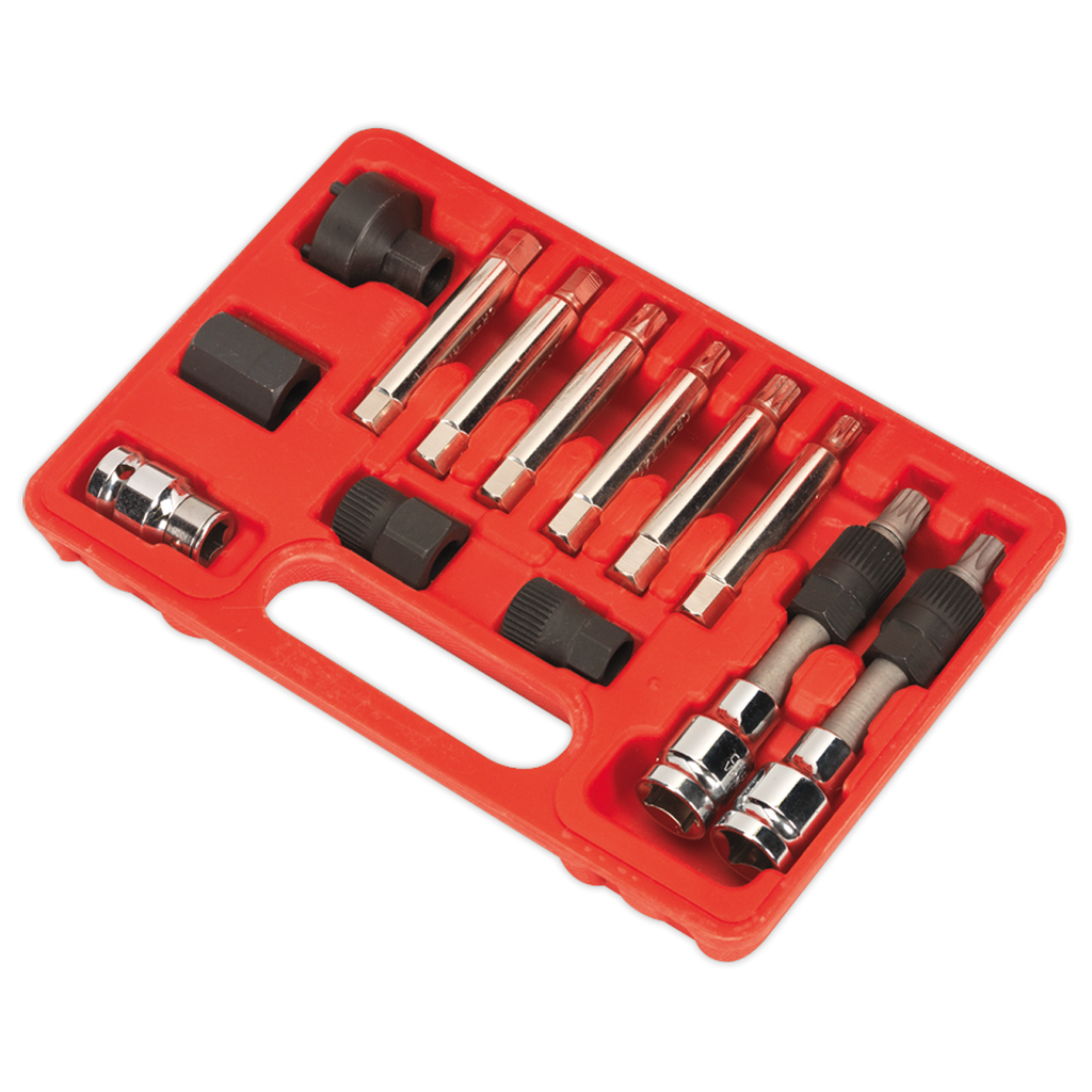 Alternator Freewheel Removal Set 13pc