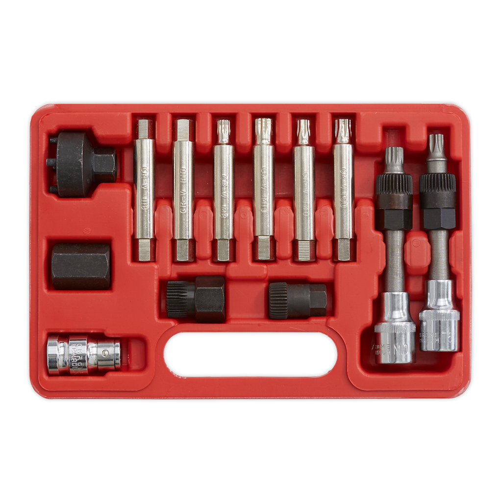 Alternator Freewheel Removal Set 13pc