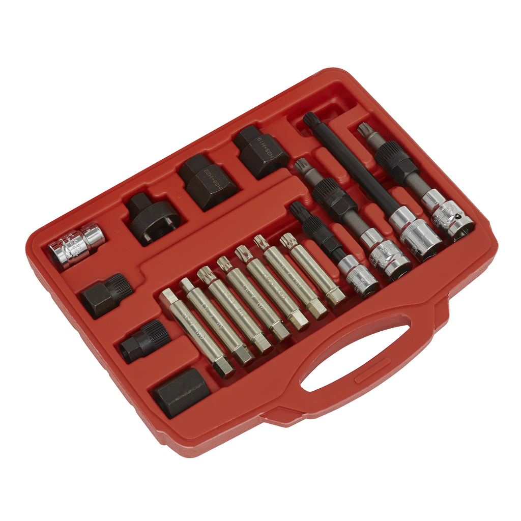 Alternator Freewheel Pulley Removal Set 18pc