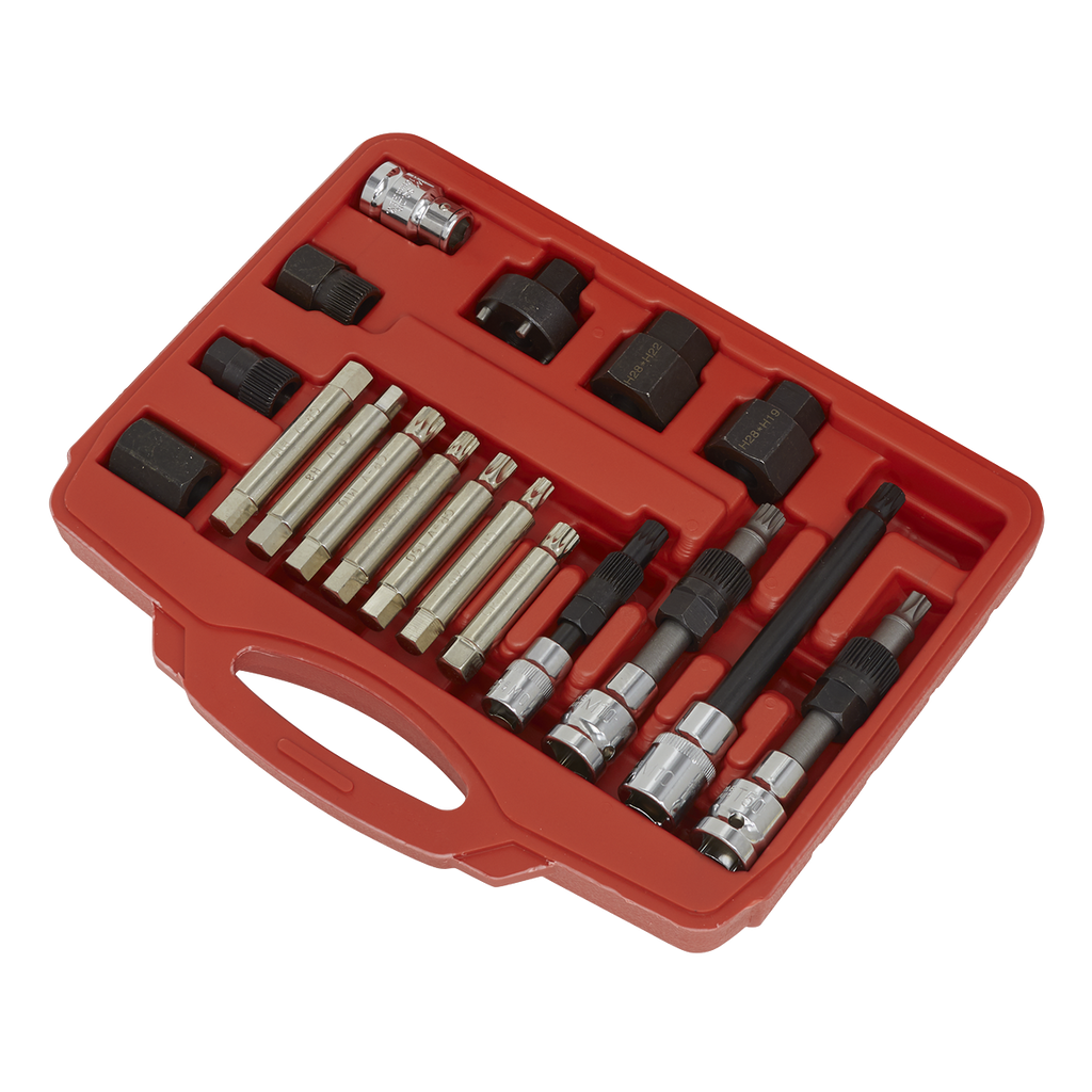 Alternator Freewheel Pulley Removal Set 18pc