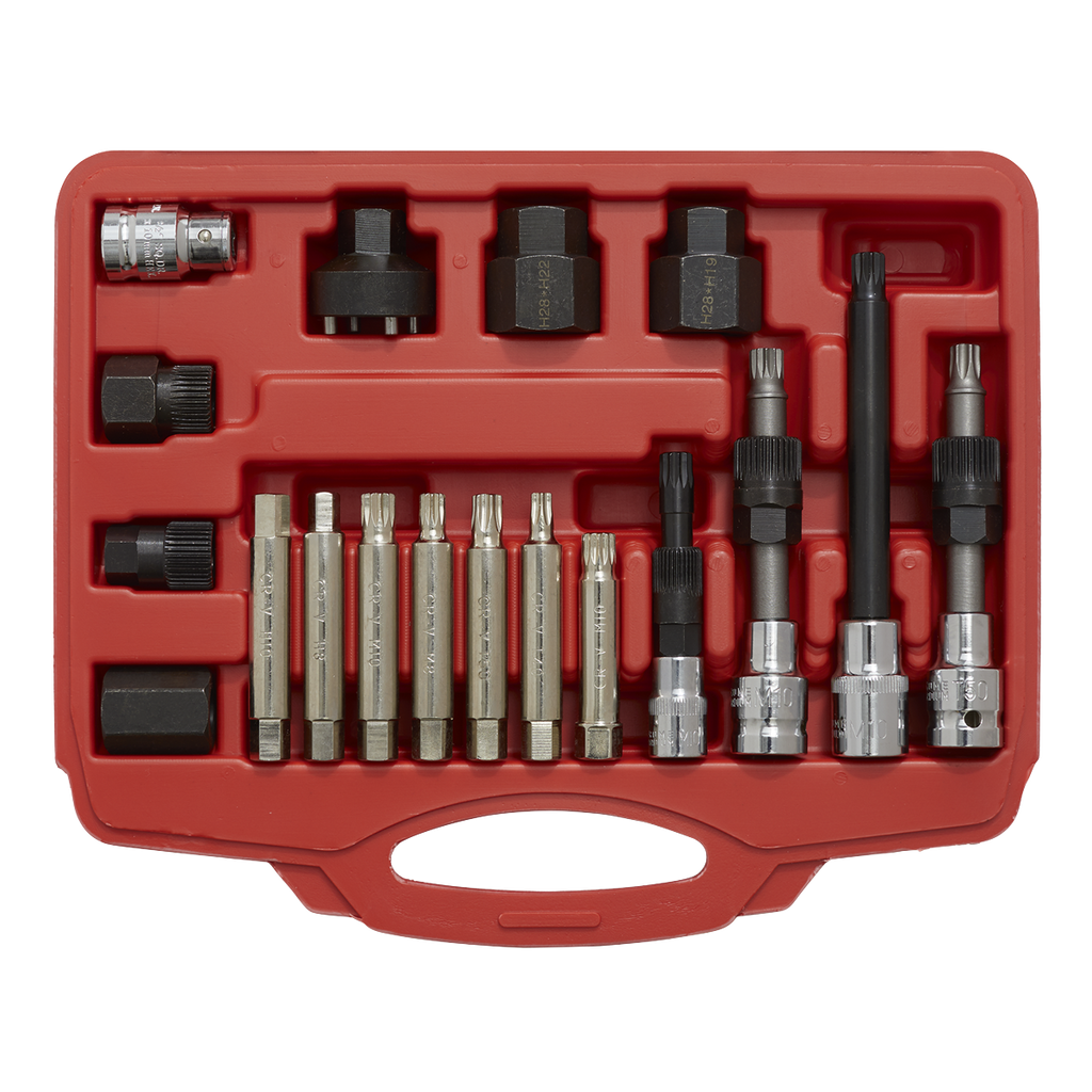 Alternator Freewheel Pulley Removal Set 18pc
