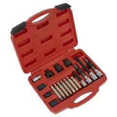 Sealey SX402 18 Piece Alternator Freewheel Pulley Remover Tool Set