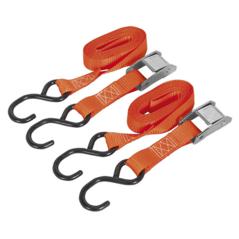 Sealey Polyester Webbing Cam Buckle Strap 250kg - 25mm x 2.5m - A