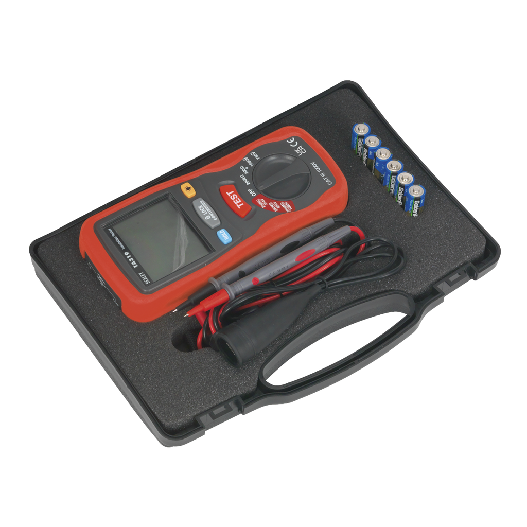 Digital Insulation Tester
