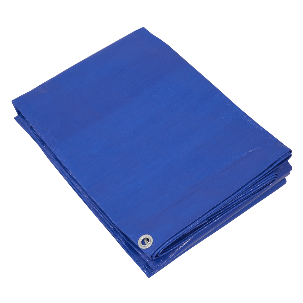 Lightweight PE Tarpaulin 5.49 x 7.32m - Blue