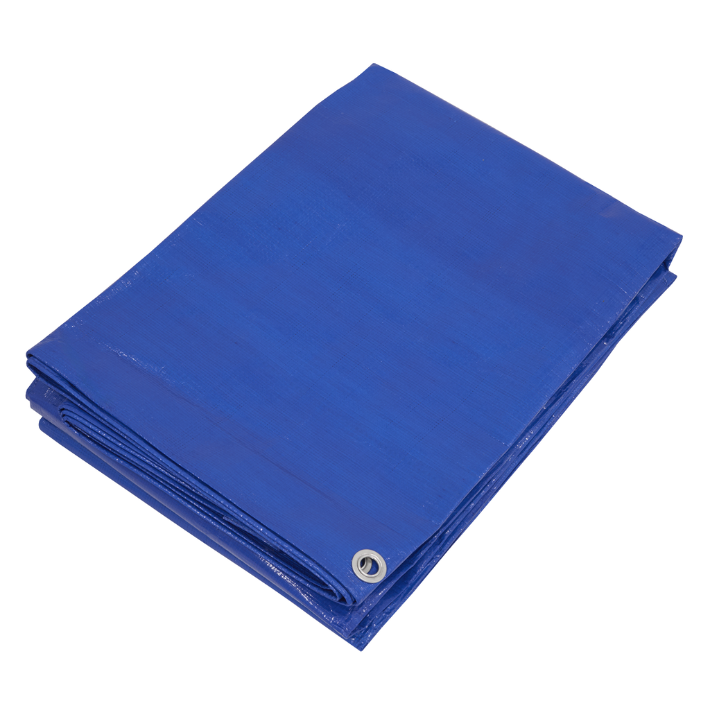 Lightweight PE Tarpaulin 5.49 x 7.32m - Blue