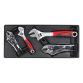 Premier Locking Pliers & Adjustable Wrench Set with Tool Tra