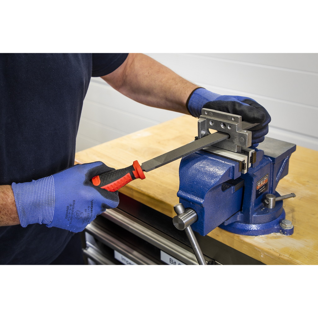 Premier Engineer’s File Set with Tool Tray 5pc