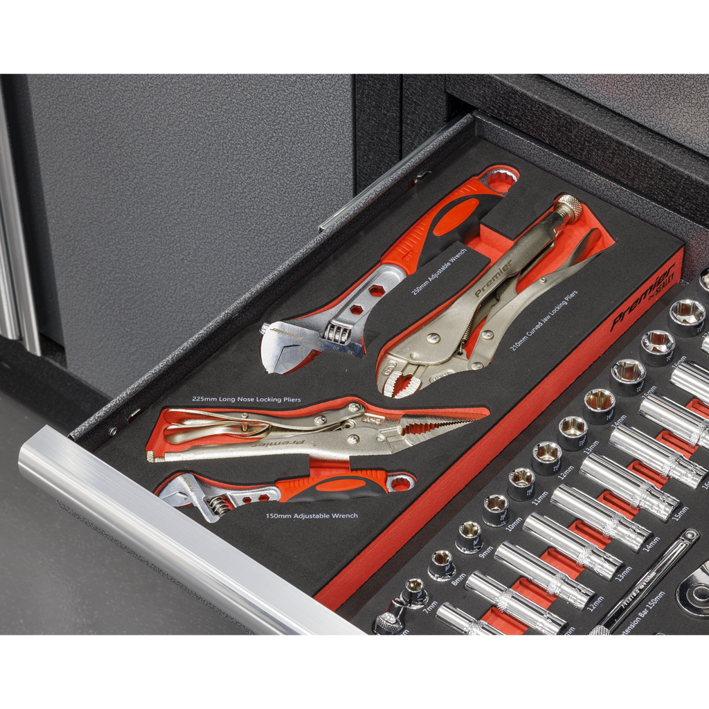 Premier Locking Pliers & Adjustable Wrench Set with Tool Tra