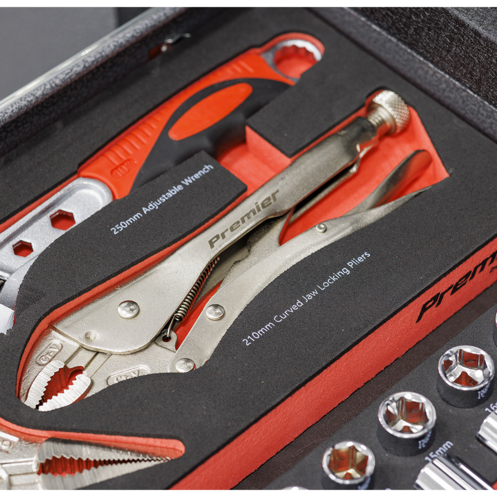 Premier Locking Pliers & Adjustable Wrench Set with Tool Tra