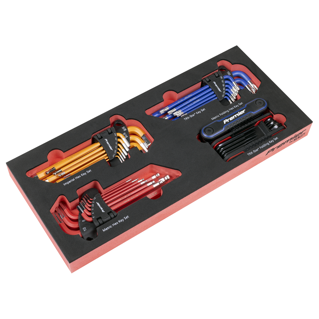 Premier Master Key Set with Tool Tray 43pc