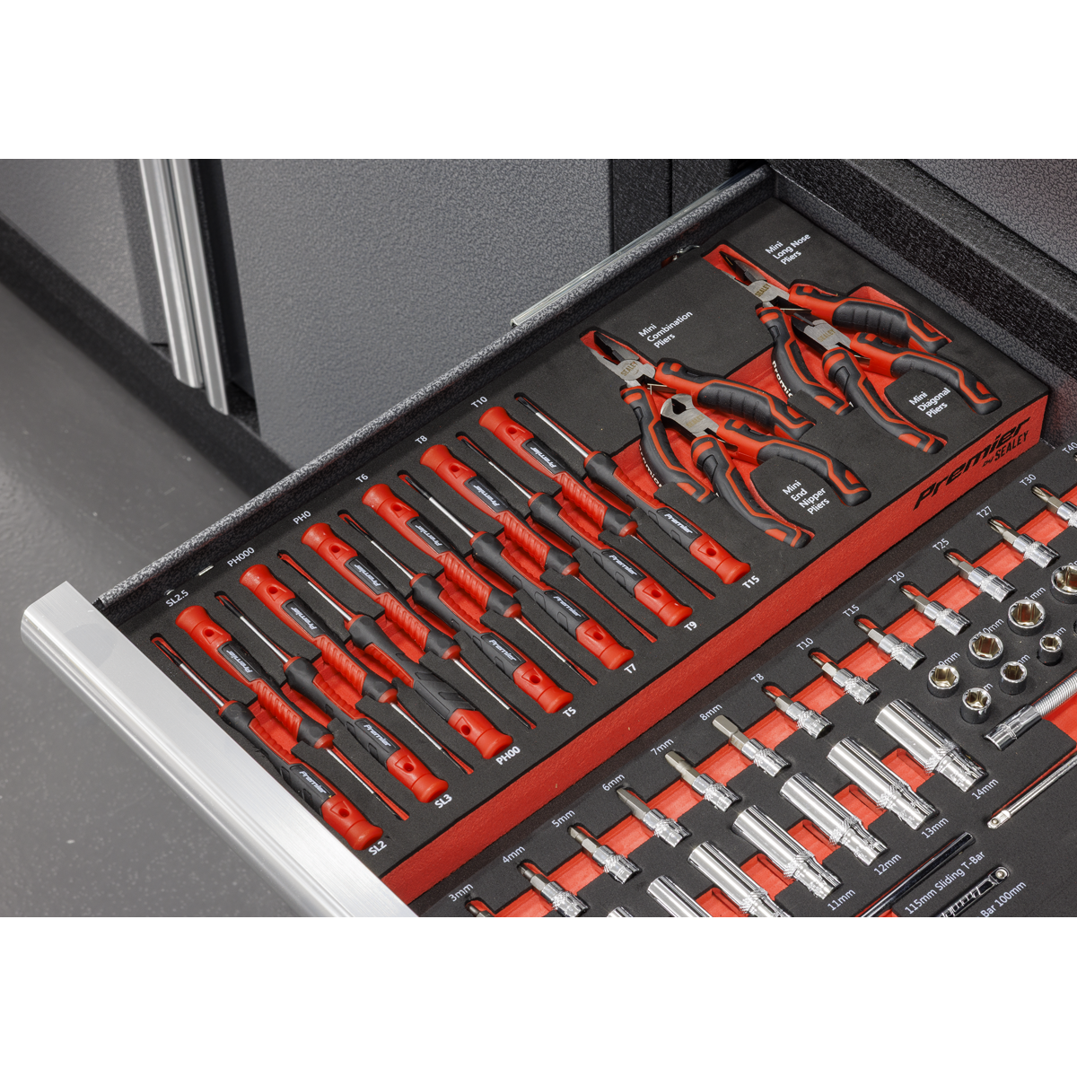 Premier Precision Screwdriver & Mini Pliers Set with Tool Tr