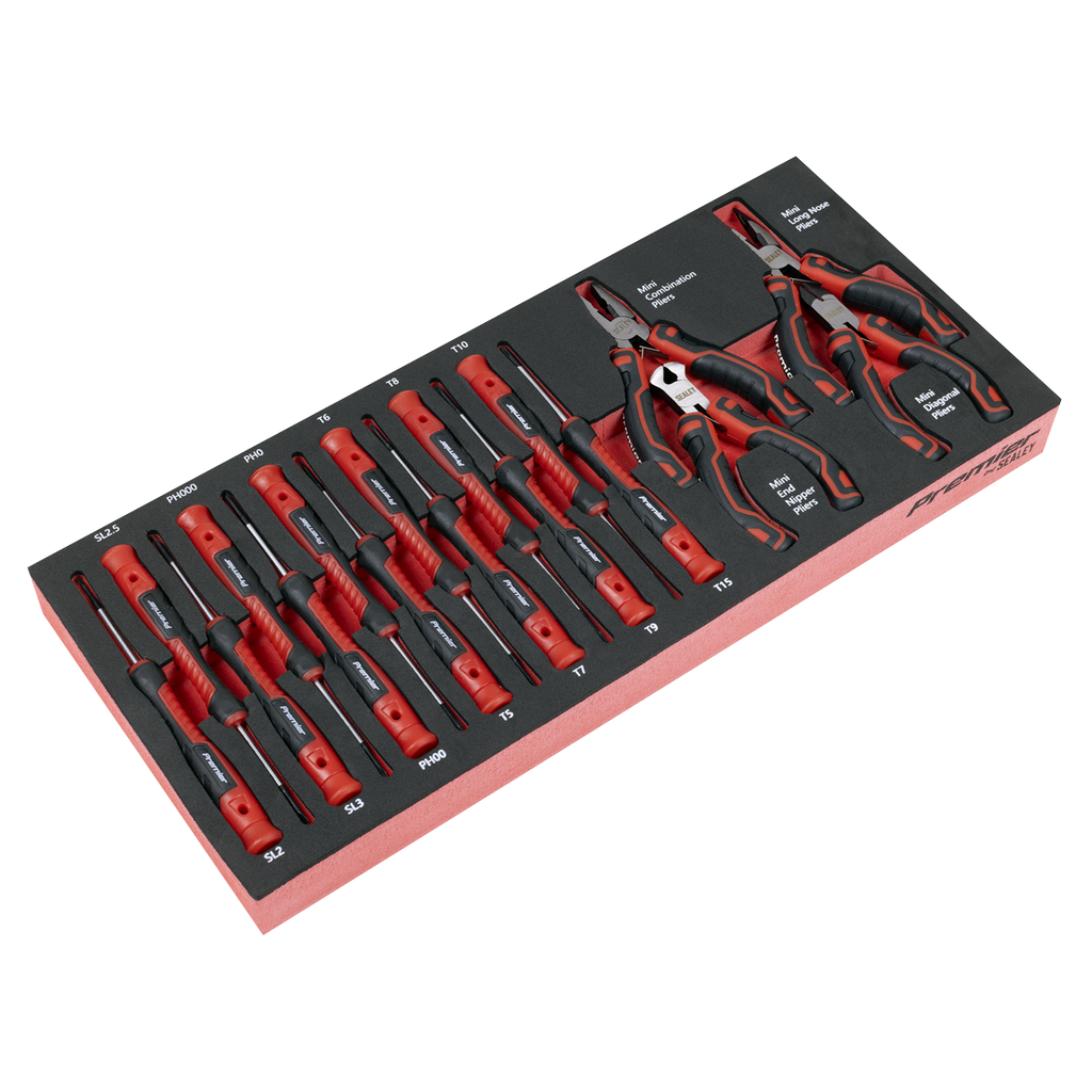 Premier Precision Screwdriver & Mini Pliers Set with Tool Tr