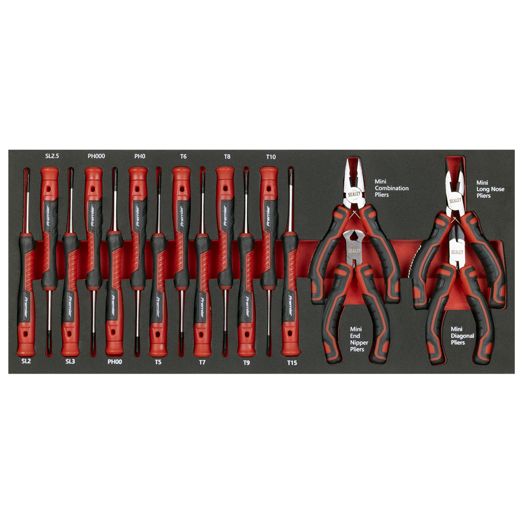 Premier Precision Screwdriver & Mini Pliers Set with Tool Tr