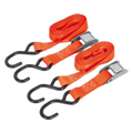 Cam Buckle Strap Polyester Webbing with S-Hooks 25mm x 2.5m