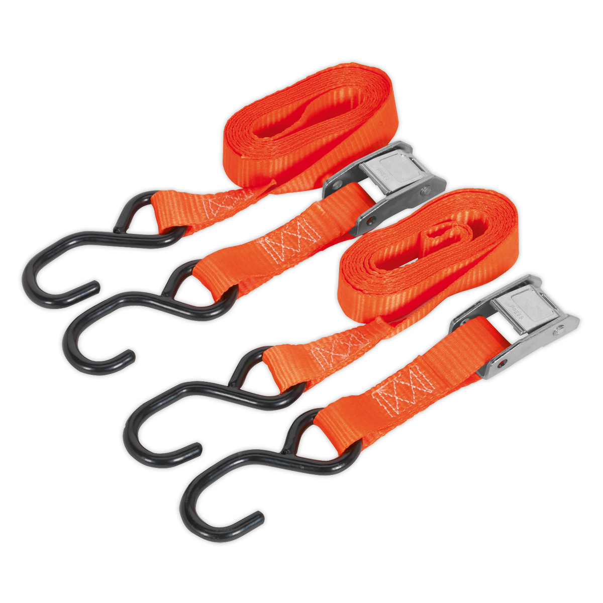 Cam Buckle Strap Polyester Webbing with S-Hooks 25mm x 2.5m