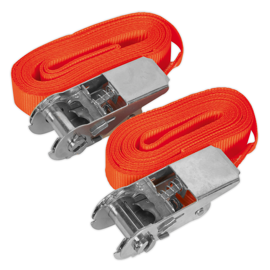 Self-Securing Ratchet Straps 25mm x 4.5m 500kg Breaking Stre