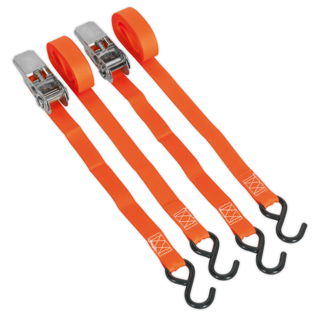 Ratchet Straps Polyester Webbing with S-Hooks 25mm x 4m 500k