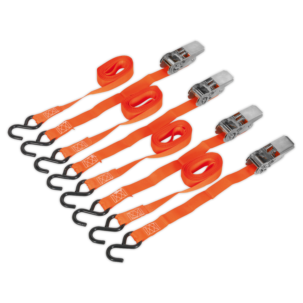Ratchet Straps Polyester Webbing with S-Hooks 25mm x 4m 500k