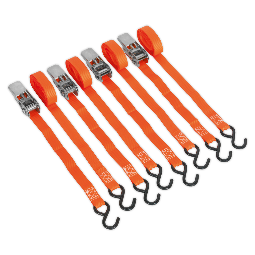 Ratchet Straps Polyester Webbing with S-Hooks 25mm x 4m 500k